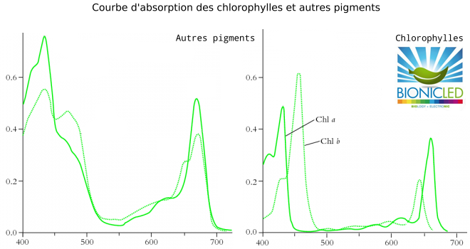 absorption_curves_with_no_num.png