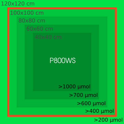 p800ws_par_cover.png