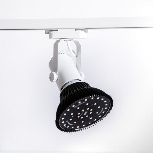 BionicFlex R100
