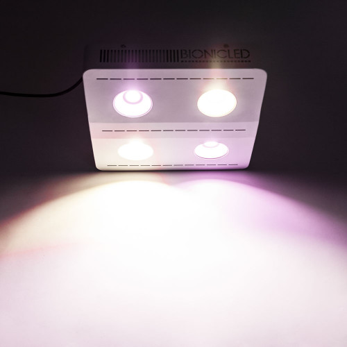BionicPan P800WX